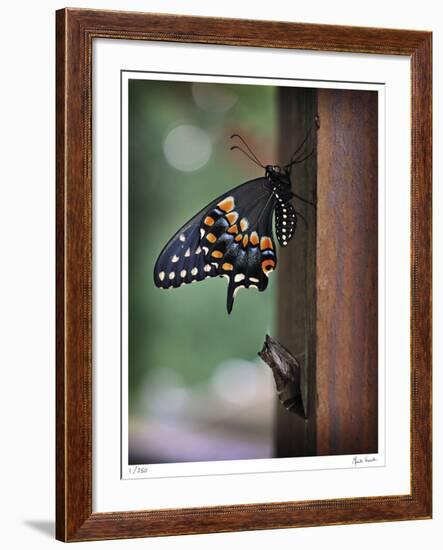 ReBirth-Michelle Wermuth-Framed Giclee Print