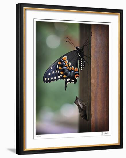 ReBirth-Michelle Wermuth-Framed Giclee Print