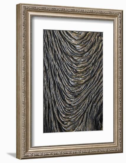 Recent Pahoehoe lava flow, Sullivan Bay, Santiago Island, Galapagos Islands, Ecuador.-Adam Jones-Framed Photographic Print