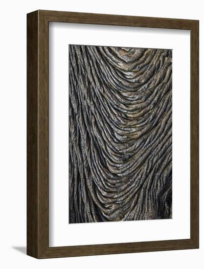 Recent Pahoehoe lava flow, Sullivan Bay, Santiago Island, Galapagos Islands, Ecuador.-Adam Jones-Framed Photographic Print