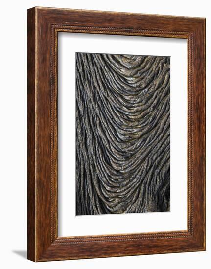 Recent Pahoehoe lava flow, Sullivan Bay, Santiago Island, Galapagos Islands, Ecuador.-Adam Jones-Framed Photographic Print