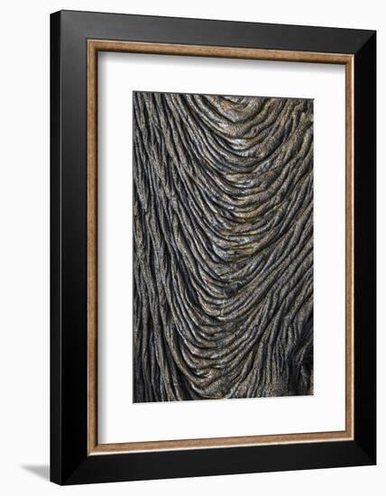 Recent Pahoehoe lava flow, Sullivan Bay, Santiago Island, Galapagos Islands, Ecuador.-Adam Jones-Framed Photographic Print