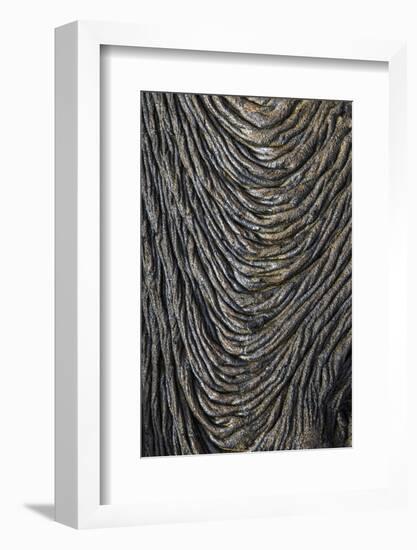 Recent Pahoehoe lava flow, Sullivan Bay, Santiago Island, Galapagos Islands, Ecuador.-Adam Jones-Framed Photographic Print