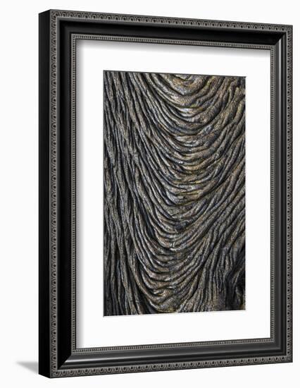 Recent Pahoehoe lava flow, Sullivan Bay, Santiago Island, Galapagos Islands, Ecuador.-Adam Jones-Framed Photographic Print