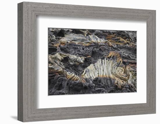 Recent Pahoehoe lava flow, Sullivan Bay, Santiago Island, Galapagos Islands, Ecuador.-Adam Jones-Framed Photographic Print