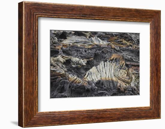 Recent Pahoehoe lava flow, Sullivan Bay, Santiago Island, Galapagos Islands, Ecuador.-Adam Jones-Framed Photographic Print