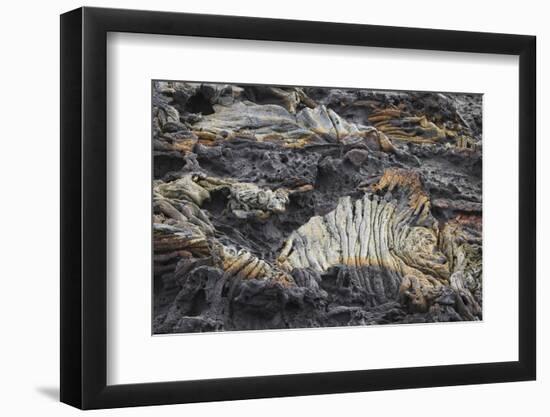 Recent Pahoehoe lava flow, Sullivan Bay, Santiago Island, Galapagos Islands, Ecuador.-Adam Jones-Framed Photographic Print