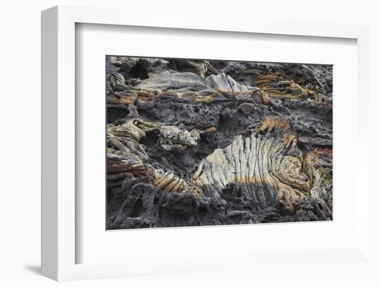 Recent Pahoehoe lava flow, Sullivan Bay, Santiago Island, Galapagos Islands, Ecuador.-Adam Jones-Framed Photographic Print