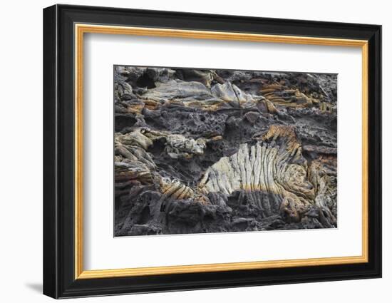 Recent Pahoehoe lava flow, Sullivan Bay, Santiago Island, Galapagos Islands, Ecuador.-Adam Jones-Framed Photographic Print