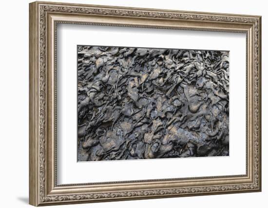 Recent Pahoehoe lava flow, Sullivan Bay, Santiago Island, Galapagos Islands, Ecuador.-Adam Jones-Framed Photographic Print