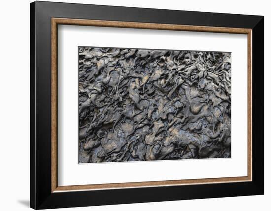 Recent Pahoehoe lava flow, Sullivan Bay, Santiago Island, Galapagos Islands, Ecuador.-Adam Jones-Framed Photographic Print