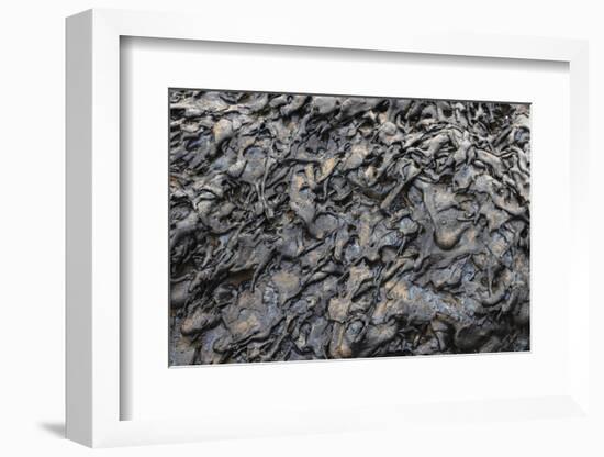 Recent Pahoehoe lava flow, Sullivan Bay, Santiago Island, Galapagos Islands, Ecuador.-Adam Jones-Framed Photographic Print