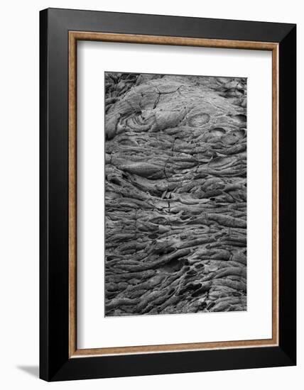 Recent Pahoehoe lava flow, Sullivan Bay, Santiago Island, Galapagos Islands, Ecuador.-Adam Jones-Framed Photographic Print