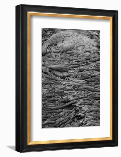 Recent Pahoehoe lava flow, Sullivan Bay, Santiago Island, Galapagos Islands, Ecuador.-Adam Jones-Framed Photographic Print