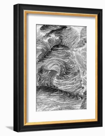 Recent Pahoehoe lava flow, Sullivan Bay, Santiago Island, Galapagos Islands, Ecuador.-Adam Jones-Framed Photographic Print