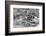 Recent Pahoehoe lava flow, Sullivan Bay, Santiago Island, Galapagos Islands, Ecuador.-Adam Jones-Framed Photographic Print