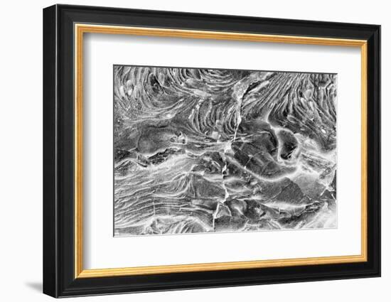 Recent Pahoehoe lava flow, Sullivan Bay, Santiago Island, Galapagos Islands, Ecuador.-Adam Jones-Framed Photographic Print