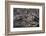 Recent Pahoehoe lava flow, Sullivan Bay, Santiago Island, Galapagos Islands, Ecuador.-Adam Jones-Framed Photographic Print