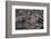 Recent Pahoehoe lava flow, Sullivan Bay, Santiago Island, Galapagos Islands, Ecuador.-Adam Jones-Framed Photographic Print