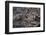 Recent Pahoehoe lava flow, Sullivan Bay, Santiago Island, Galapagos Islands, Ecuador.-Adam Jones-Framed Photographic Print