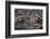 Recent Pahoehoe lava flow, Sullivan Bay, Santiago Island, Galapagos Islands, Ecuador.-Adam Jones-Framed Photographic Print