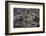 Recent Pahoehoe lava flow, Sullivan Bay, Santiago Island, Galapagos Islands, Ecuador.-Adam Jones-Framed Photographic Print