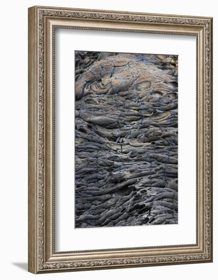 Recent Pahoehoe lava flow, Sullivan Bay, Santiago Island, Galapagos Islands, Ecuador.-Adam Jones-Framed Photographic Print