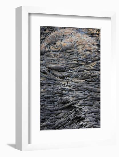 Recent Pahoehoe lava flow, Sullivan Bay, Santiago Island, Galapagos Islands, Ecuador.-Adam Jones-Framed Photographic Print