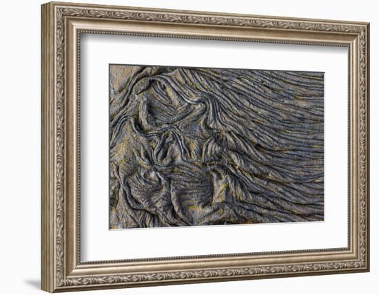 Recent Pahoehoe lava flow, Sullivan Bay, Santiago Island, Galapagos Islands, Ecuador.-Adam Jones-Framed Photographic Print