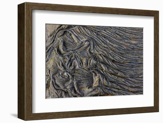 Recent Pahoehoe lava flow, Sullivan Bay, Santiago Island, Galapagos Islands, Ecuador.-Adam Jones-Framed Photographic Print