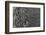 Recent Pahoehoe lava flow, Sullivan Bay, Santiago Island, Galapagos Islands, Ecuador.-Adam Jones-Framed Photographic Print