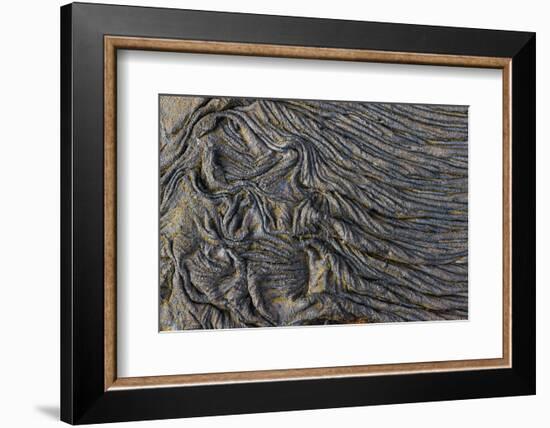 Recent Pahoehoe lava flow, Sullivan Bay, Santiago Island, Galapagos Islands, Ecuador.-Adam Jones-Framed Photographic Print