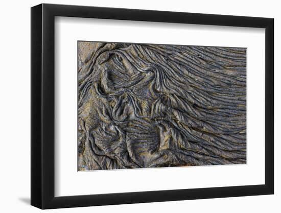 Recent Pahoehoe lava flow, Sullivan Bay, Santiago Island, Galapagos Islands, Ecuador.-Adam Jones-Framed Photographic Print