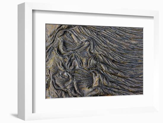 Recent Pahoehoe lava flow, Sullivan Bay, Santiago Island, Galapagos Islands, Ecuador.-Adam Jones-Framed Photographic Print