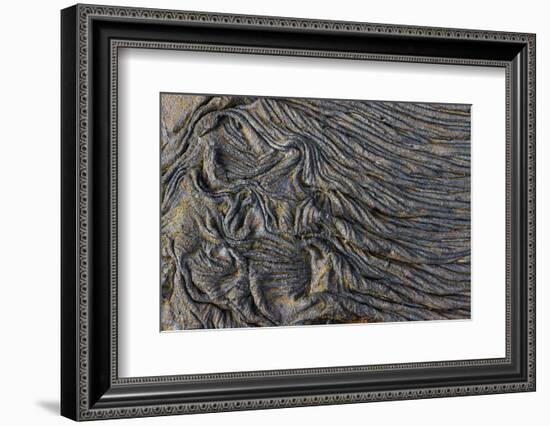 Recent Pahoehoe lava flow, Sullivan Bay, Santiago Island, Galapagos Islands, Ecuador.-Adam Jones-Framed Photographic Print