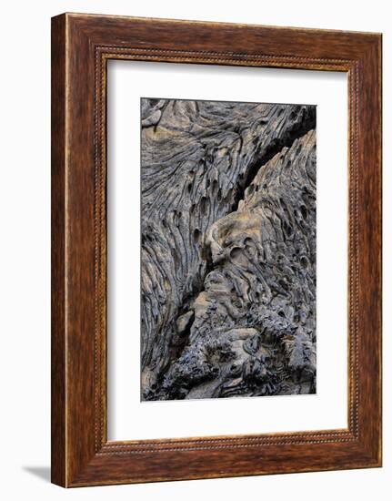 Recent Pahoehoe lava flow, Sullivan Bay, Santiago Island, Galapagos Islands, Ecuador.-Adam Jones-Framed Photographic Print