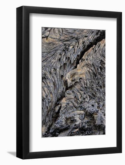 Recent Pahoehoe lava flow, Sullivan Bay, Santiago Island, Galapagos Islands, Ecuador.-Adam Jones-Framed Photographic Print