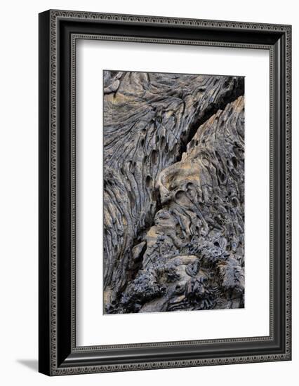 Recent Pahoehoe lava flow, Sullivan Bay, Santiago Island, Galapagos Islands, Ecuador.-Adam Jones-Framed Photographic Print