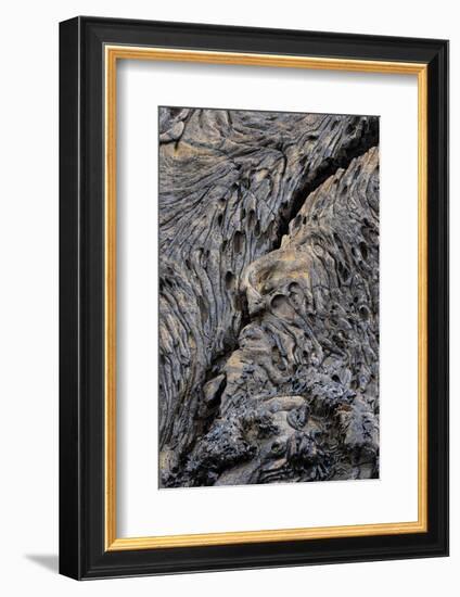 Recent Pahoehoe lava flow, Sullivan Bay, Santiago Island, Galapagos Islands, Ecuador.-Adam Jones-Framed Photographic Print