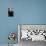 Reckless-Sebastian Black-Photo displayed on a wall