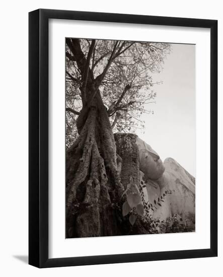 Reclining Buddha, 1980-null-Framed Photographic Print