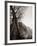 Reclining Buddha, 1980-null-Framed Photographic Print