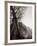 Reclining Buddha, 1980-null-Framed Photographic Print