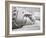 Reclining Buddha at Long Son Pagoda, Nha Trang City, Vietnam, Indochina, Southeast Asia-Richard Cummins-Framed Photographic Print