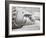 Reclining Buddha at Long Son Pagoda, Nha Trang City, Vietnam, Indochina, Southeast Asia-Richard Cummins-Framed Photographic Print