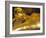 Reclining Buddha, Grand Palace, Bangkok, Thailand-Peter Adams-Framed Photographic Print