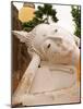 Reclining Buddha Statue at Ayuthaya, Siam, Thailand-Gavriel Jecan-Mounted Photographic Print