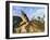 Reclining Buddha Statue, Xieng Khuan, Vientiane, Laos-Gavin Hellier-Framed Photographic Print