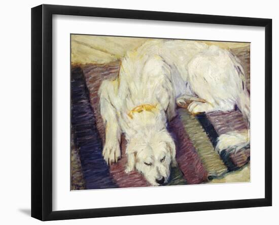 Reclining Dog (Portrait of a Dog), 1909-Franz Marc-Framed Giclee Print