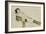 Reclining female nude with legs spread 1914-Egon Schiele-Framed Giclee Print